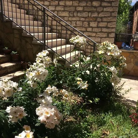 Rosa Берат