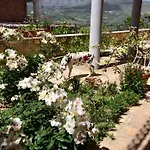 Lejlighedshotel Rosa