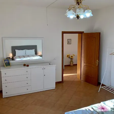 Rosa 4*