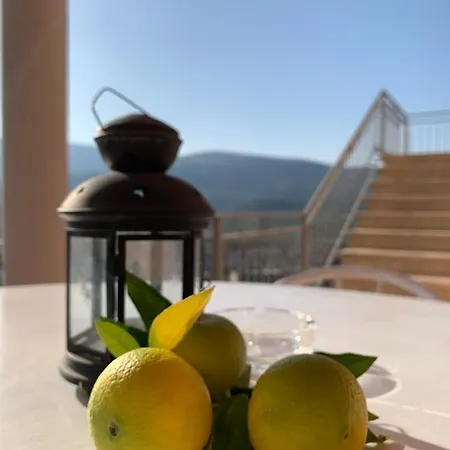 Aparthotel Rosa
