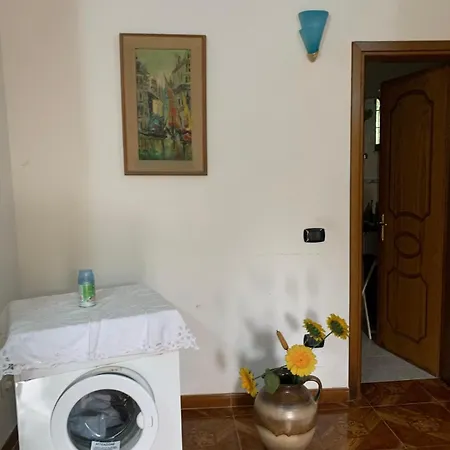 Rosa 4* Berat