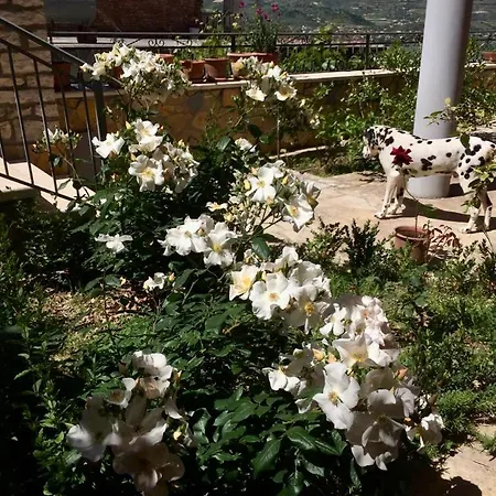 Aparthotel Rosa Berat