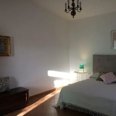 Rosa Aparthotel *