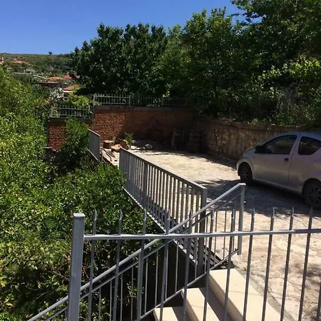 Rosa 4* Berat