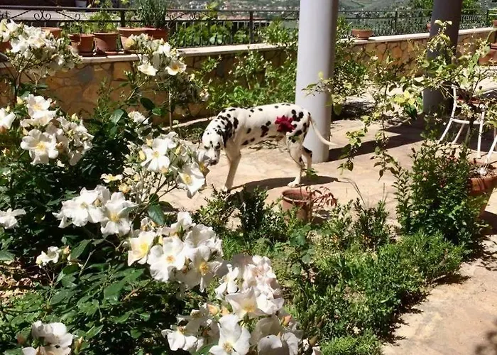 Ξενοδοχείο με διαμερίσματα Rosa